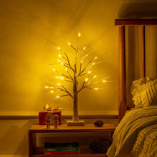 Load image into Gallery viewer, Yeahome 2FT/24” Birch Tree Light with 24LT Warm White LEDs Battery Powered Timer for Christmas Decorations Indoor, Money Trees for Xmas Winter Wedding Desk Table Mantel Home Decor