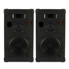 Load image into Gallery viewer, Phitric DPI-1200C/8 Passive 12" Speaker Pair 3-Way PA DJ Karaoke Home