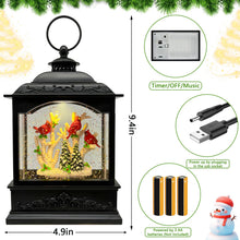 Load image into Gallery viewer, DECORKEY Spring Snow Globes Lantern with Music & Timer - USB/Battery Operated LED Glittering Globe Lantern, Snow Globe Decoration Lantern for Home Holiday Decor (Red Robin)