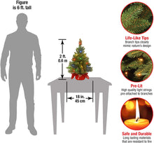Load image into Gallery viewer, DECSPAS Pre-lit Artificial Mini Christmas Tree | Includes Multi-Color LED Lights and Cloth Bag Base | Majestic Fir - 2 ft