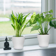 Load image into Gallery viewer, MEETYAMOR Plant Pots, Set of 15 Plastic Planters with Multiple Drainage Holes and Tray 6 inch Indoor Plant Pot for All Home Garden Flowers Succulents, Cream White