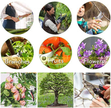 Load image into Gallery viewer, DEWBIN Gardening Hand Cutters Garden Pruning Shears Trimming Scissors Garden Clippers Ratchet Shears Secateurs for Plants Clippers Gardener Shears