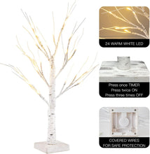 Load image into Gallery viewer, Yeahome 2FT/24” Birch Tree Light with 24LT Warm White LEDs Battery Powered Timer for Christmas Decorations Indoor, Money Trees for Xmas Winter Wedding Desk Table Mantel Home Decor
