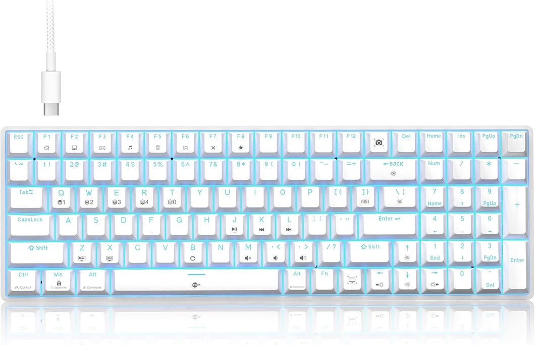 Phitric Mechanical Gaming Keyboard, Quiet Linear Red Switch, Number Pad, LED Backlit, Programmable, Anti-Ghosting, Detachable USB-C, Computer Keyboard for Windows Laptop PC Gamer Typist - White