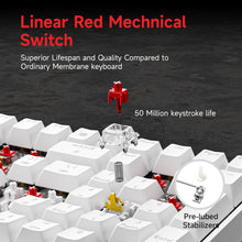 Load image into Gallery viewer, Phitric Mechanical Gaming Keyboard, Quiet Linear Red Switch, Number Pad, LED Backlit, Programmable, Anti-Ghosting, Detachable USB-C, Computer Keyboard for Windows Laptop PC Gamer Typist - White
