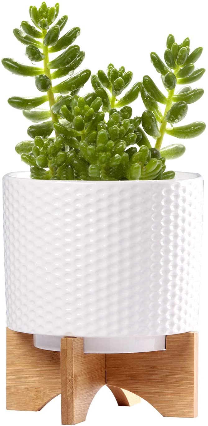 MEETYAMOR Plant Pots–6 inch Glazed Ceramic Flower Pot with Drainage Holes and Ceramic Tray - Gardening Home Desktop Office Windowsill Decoration Gift