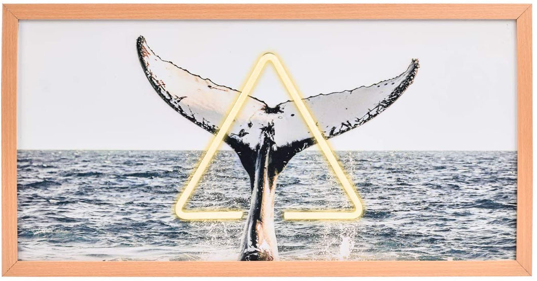 DecarDo Picture Frames LED Wall Art - Light up Wall Decor Poster Frames, Auto Timer 3D LED Light Design, Digitally Printed Artwotk, Great Gift Framed Art for Living Room Bathroom Decor